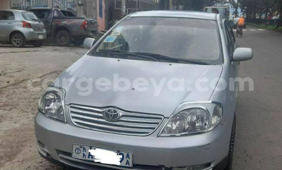 Buy Used Toyota Corolla Silver Car in Addis–Ababa in Ethiopia Buy Used Toyota Corolla Silver Car in Addis–Ababa in Ethiopia