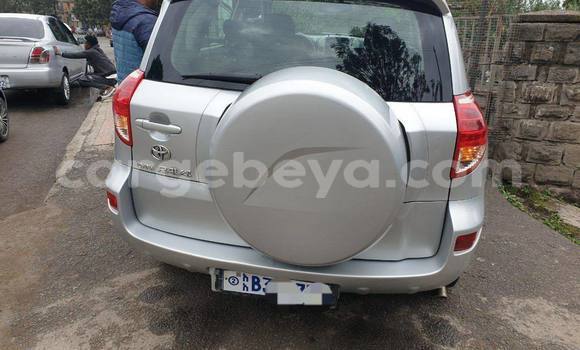 Buy Used Toyota RAV4 Silver Car in Addis–Ababa in Ethiopia Buy Used Toyota RAV4 Silver Car in Addis–Ababa in Ethiopia
