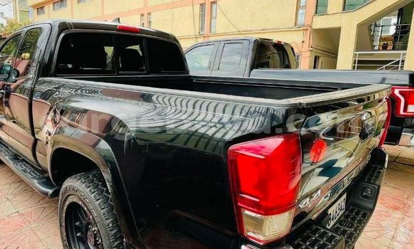 Buy Used Toyota Tacoma Black Car in Addis–Ababa in Ethiopia Buy Used Toyota Tacoma Black Car in Addis–Ababa in Ethiopia