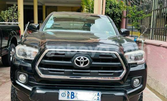 Buy Used Toyota Tacoma Black Car in Addis–Ababa in Ethiopia Buy Used Toyota Tacoma Black Car in Addis–Ababa in Ethiopia