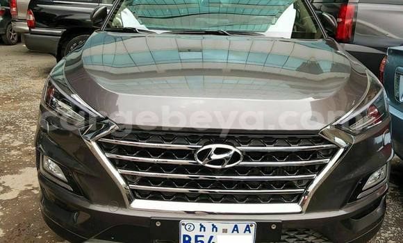 Buy Used Hyundai Tucson Other Car in Addis–Ababa in Ethiopia Buy Used Hyundai Tucson Other Car in Addis–Ababa in Ethiopia