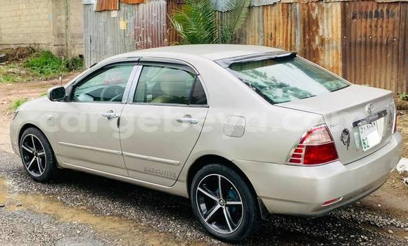 Buy Used Toyota Corolla Beige Car in Addis–Ababa in Ethiopia Buy Used Toyota Corolla Beige Car in Addis–Ababa in Ethiopia