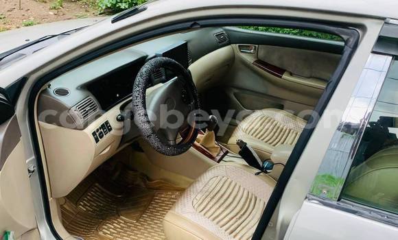Buy Used Toyota Corolla Beige Car in Addis–Ababa in Ethiopia Buy Used Toyota Corolla Beige Car in Addis–Ababa in Ethiopia