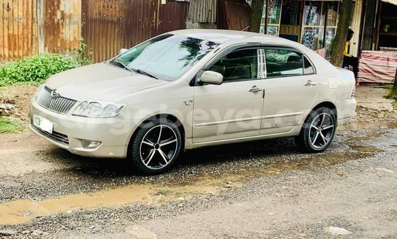 Buy Used Toyota Corolla Beige Car in Addis–Ababa in Ethiopia Buy Used Toyota Corolla Beige Car in Addis–Ababa in Ethiopia