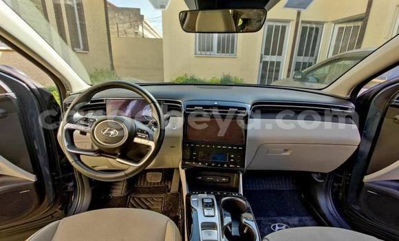 Buy Used Hyundai Tucson Blue Car in Addis–Ababa in Ethiopia Buy Used Hyundai Tucson Blue Car in Addis–Ababa in Ethiopia