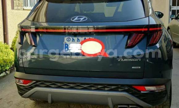 Buy Used Hyundai Tucson Blue Car in Addis–Ababa in Ethiopia Buy Used Hyundai Tucson Blue Car in Addis–Ababa in Ethiopia
