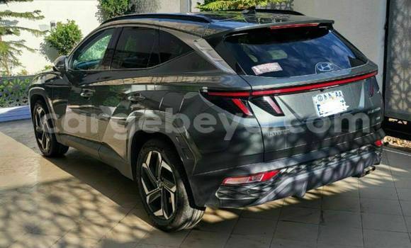 Buy Used Hyundai Tucson Blue Car in Addis–Ababa in Ethiopia Buy Used Hyundai Tucson Blue Car in Addis–Ababa in Ethiopia