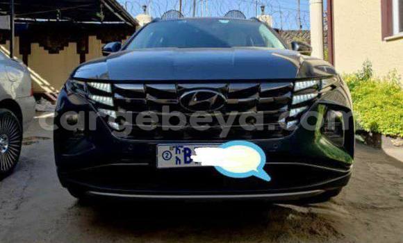 Buy Used Hyundai Tucson Blue Car in Addis–Ababa in Ethiopia Buy Used Hyundai Tucson Blue Car in Addis–Ababa in Ethiopia
