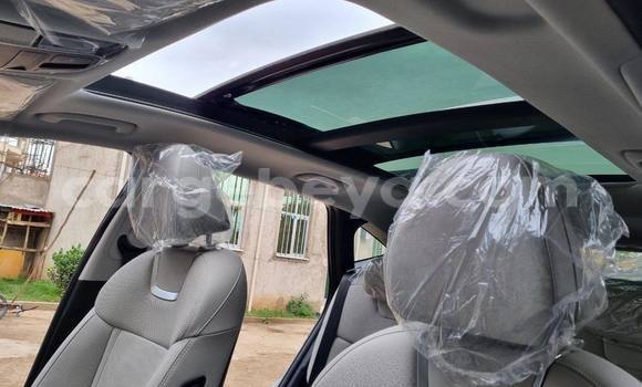 Buy Used Hyundai Tucson Other Car in Addis–Ababa in Ethiopia Buy Used Hyundai Tucson Other Car in Addis–Ababa in Ethiopia