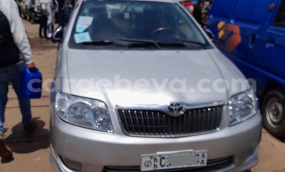 Buy Used Toyota Corolla Silver Car in Addis–Ababa in Ethiopia