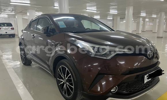 Buy Used Toyota C-HR Brown Car in Addis–Ababa in Ethiopia Buy Used Toyota C-HR Brown Car in Addis–Ababa in Ethiopia