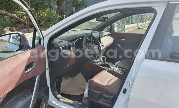 Buy New Toyota Corolla Cross Beige Car in Addis–Ababa in Ethiopia Buy New Toyota Corolla Cross Beige Car in Addis–Ababa in Ethiopia
