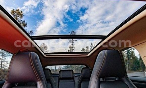 ይግዙ አዲስ Lexus LX 570 ሌላ መኪና በ አዲስ አበባ በ ኢትዮጵያ ይግዙ አዲስ Lexus LX 570 ሌላ መኪና በ አዲስ አበባ በ ኢትዮጵያ