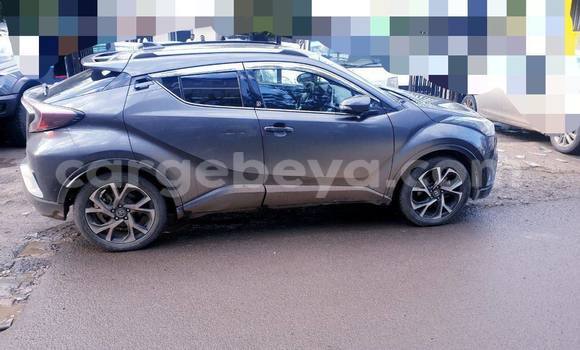 Oofamaa Toyota C-HR Beige Makiinaa iti Addis–Ababa keessatti Ethiopia keessatti Oofamaa Toyota C-HR Beige Makiinaa iti Addis–Ababa keessatti Ethiopia keessatti