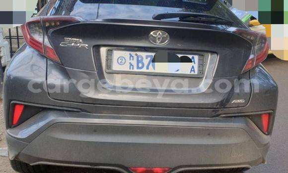 ይግዙ ያገለገለ Toyota C-HR Beige መኪና በ አዲስ አበባ በ ኢትዮጵያ ይግዙ ያገለገለ Toyota C-HR Beige መኪና በ አዲስ አበባ በ ኢትዮጵያ