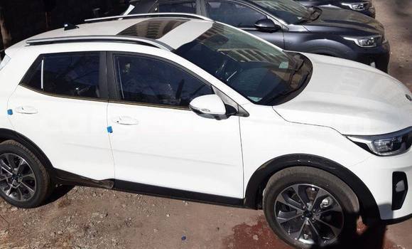 Buy New Kia Stonic White Car in Addis–Ababa in Ethiopia Buy New Kia Stonic White Car in Addis–Ababa in Ethiopia