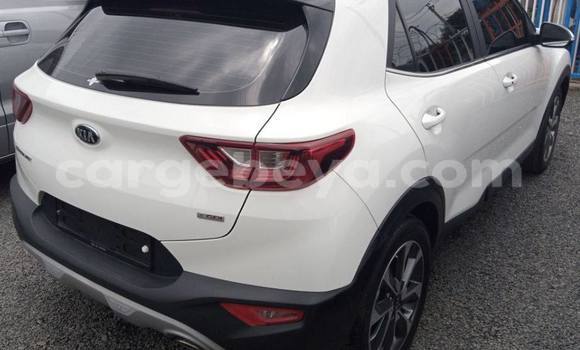 Buy New Kia Stonic White Car in Addis–Ababa in Ethiopia Buy New Kia Stonic White Car in Addis–Ababa in Ethiopia