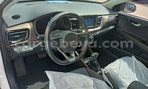 Buy New Kia Stonic White Car in Addis–Ababa in Ethiopia Buy New Kia Stonic White Car in Addis–Ababa in Ethiopia