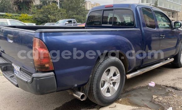 ይግዙ ያገለገለ Toyota Tacoma ሌላ መኪና በ አዲስ አበባ በ ኢትዮጵያ ይግዙ ያገለገለ Toyota Tacoma ሌላ መኪና በ አዲስ አበባ በ ኢትዮጵያ