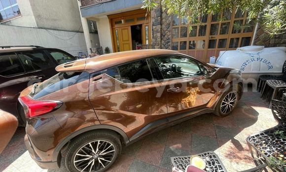 Buy Used Toyota C-HR Brown Car in Addis–Ababa in Ethiopia Buy Used Toyota C-HR Brown Car in Addis–Ababa in Ethiopia