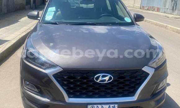 Buy Used Hyundai Tucson Beige Car in Addis–Ababa in Ethiopia