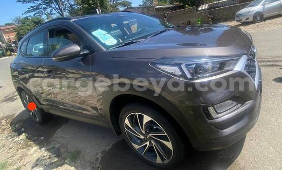 Acheter Occasion Voiture Hyundai Tucson Beige à Addis Ababa, Ethiopie Acheter Occasion Voiture Hyundai Tucson Beige à Addis Ababa, Ethiopie