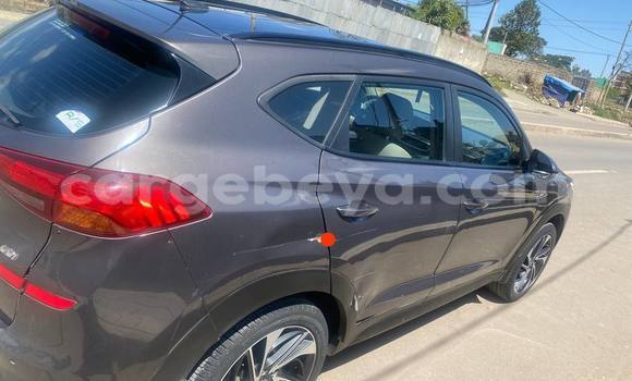 Acheter Occasion Voiture Hyundai Tucson Beige à Addis Ababa, Ethiopie Acheter Occasion Voiture Hyundai Tucson Beige à Addis Ababa, Ethiopie