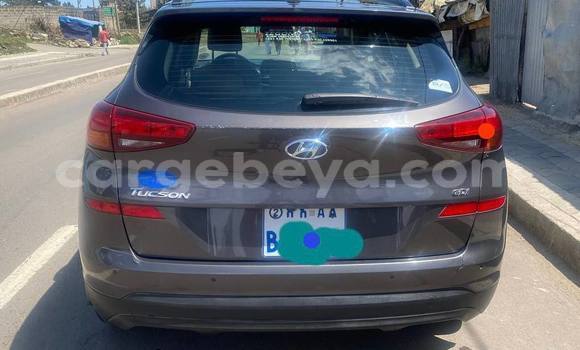 Acheter Occasion Voiture Hyundai Tucson Beige à Addis Ababa, Ethiopie Acheter Occasion Voiture Hyundai Tucson Beige à Addis Ababa, Ethiopie