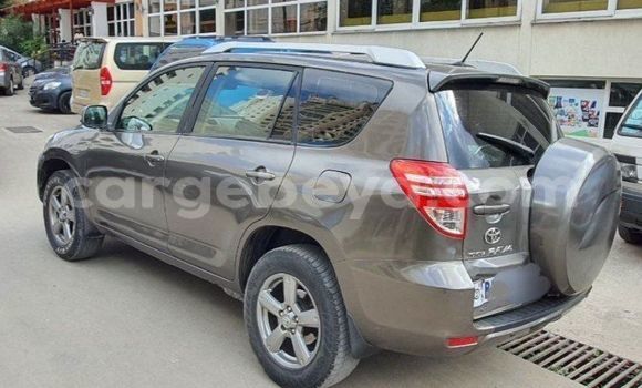 Acheter Occasion Voiture Toyota RAV4 Marron à Addis Ababa, Ethiopie