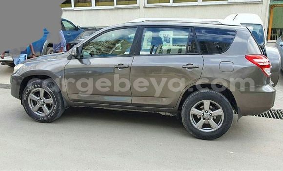 Acheter Occasion Voiture Toyota RAV4 Marron à Addis Ababa, Ethiopie Acheter Occasion Voiture Toyota RAV4 Marron à Addis Ababa, Ethiopie