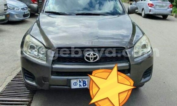 Acheter Occasion Voiture Toyota RAV4 Marron à Addis Ababa, Ethiopie Acheter Occasion Voiture Toyota RAV4 Marron à Addis Ababa, Ethiopie
