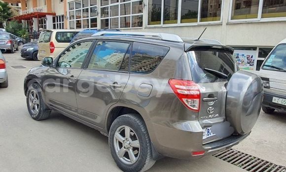 Acheter Occasion Voiture Toyota RAV4 Marron à Addis Ababa, Ethiopie Acheter Occasion Voiture Toyota RAV4 Marron à Addis Ababa, Ethiopie