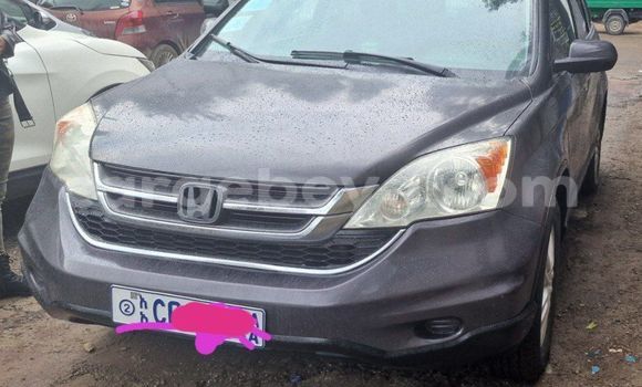 Oofamaa Honda CR–V Beige Makiinaa iti Addis–Ababa keessatti Ethiopia keessatti Oofamaa Honda CR–V Beige Makiinaa iti Addis–Ababa keessatti Ethiopia keessatti