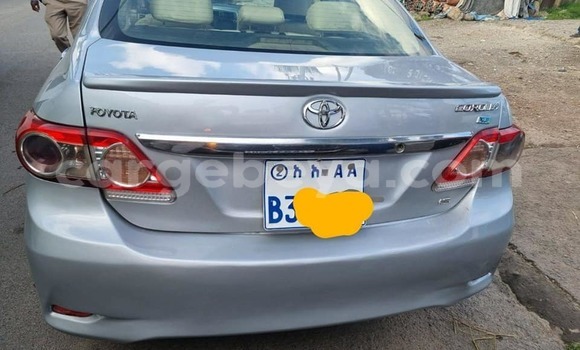 Buy Used Toyota Corolla Silver Car in Addis–Ababa in Ethiopia Buy Used Toyota Corolla Silver Car in Addis–Ababa in Ethiopia