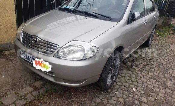 Acheter Occasion Voiture Toyota Corolla Marron à Addis Ababa, Ethiopie Acheter Occasion Voiture Toyota Corolla Marron à Addis Ababa, Ethiopie