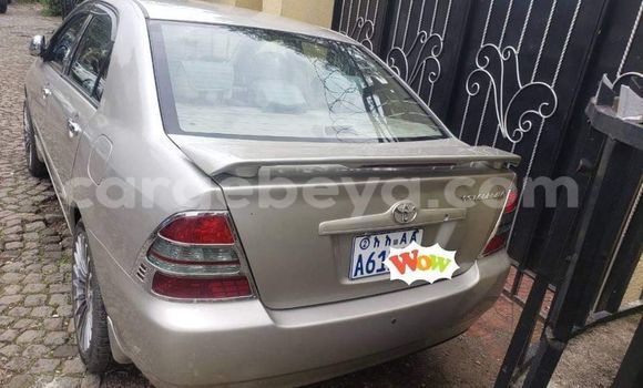 Acheter Occasion Voiture Toyota Corolla Marron à Addis Ababa, Ethiopie Acheter Occasion Voiture Toyota Corolla Marron à Addis Ababa, Ethiopie