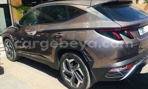 Buy Used Hyundai Tucson Brown Car in Addis–Ababa in Ethiopia Buy Used Hyundai Tucson Brown Car in Addis–Ababa in Ethiopia