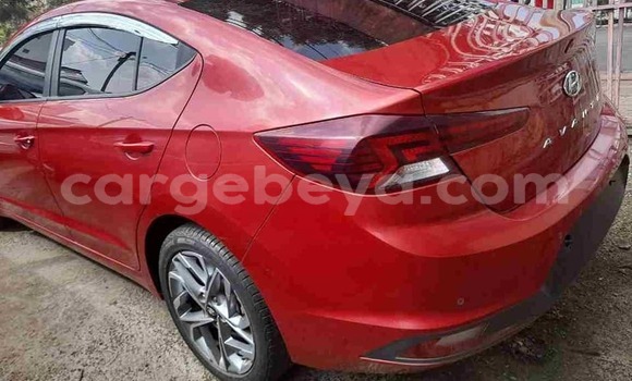 Buy Used Hyundai Avante Red Car in Addis–Ababa in Ethiopia Buy Used Hyundai Avante Red Car in Addis–Ababa in Ethiopia