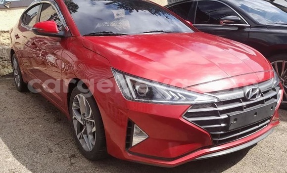 Buy Used Hyundai Avante Red Car in Addis–Ababa in Ethiopia Buy Used Hyundai Avante Red Car in Addis–Ababa in Ethiopia