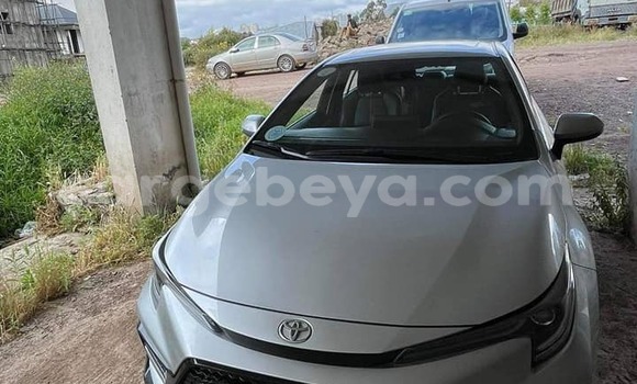 Buy Used Toyota Corolla Other Car in Addis–Ababa in Ethiopia Buy Used Toyota Corolla Other Car in Addis–Ababa in Ethiopia