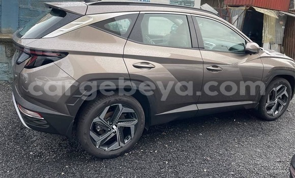 Buy Used Hyundai Tucson Brown Car in Addis–Ababa in Ethiopia Buy Used Hyundai Tucson Brown Car in Addis–Ababa in Ethiopia
