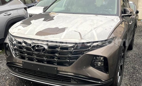 Buy Used Hyundai Tucson Brown Car in Addis–Ababa in Ethiopia Buy Used Hyundai Tucson Brown Car in Addis–Ababa in Ethiopia