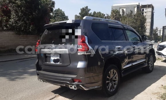 ይግዙ ያገለገለ Toyota Land Cruiser Prado ሌላ መኪና በ አዲስ አበባ በ ኢትዮጵያ ይግዙ ያገለገለ Toyota Land Cruiser Prado ሌላ መኪና በ አዲስ አበባ በ ኢትዮጵያ