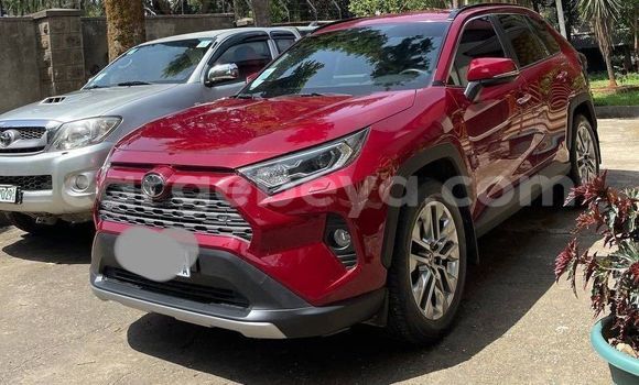 Acheter Occasion Voiture Toyota RAV4 Rouge à Addis Ababa, Ethiopie Acheter Occasion Voiture Toyota RAV4 Rouge à Addis Ababa, Ethiopie