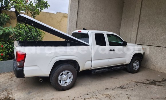 Buy Used Toyota Tacoma White Car in Addis–Ababa in Ethiopia