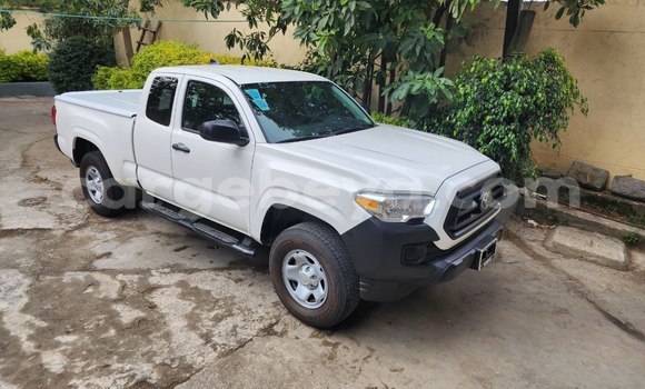 Acheter Occasion Voiture Toyota Tacoma Blanc à Addis Ababa, Ethiopie Acheter Occasion Voiture Toyota Tacoma Blanc à Addis Ababa, Ethiopie