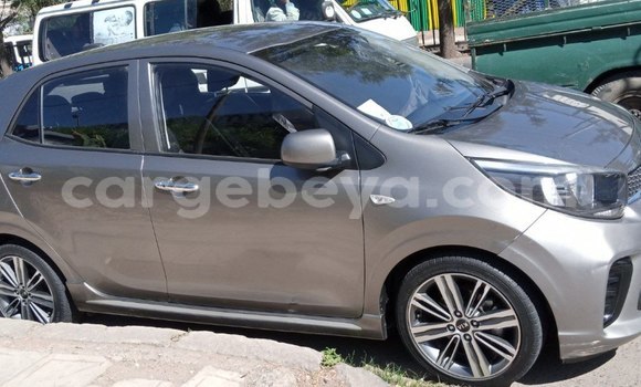 Buy Used Kia Morning Beige Car in Addis–Ababa in Ethiopia