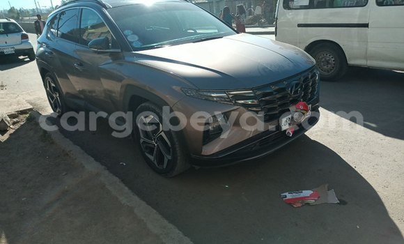 Acheter Occasion Voiture Hyundai Tucson Beige à Addis Ababa, Ethiopie Acheter Occasion Voiture Hyundai Tucson Beige à Addis Ababa, Ethiopie