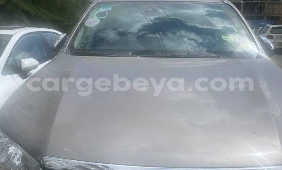 Acheter Occasion Voiture Toyota REVO CAB Z-EDITION Gris à Addis Ababa, Ethiopie Acheter Occasion Voiture Toyota REVO CAB Z-EDITION Gris à Addis Ababa, Ethiopie