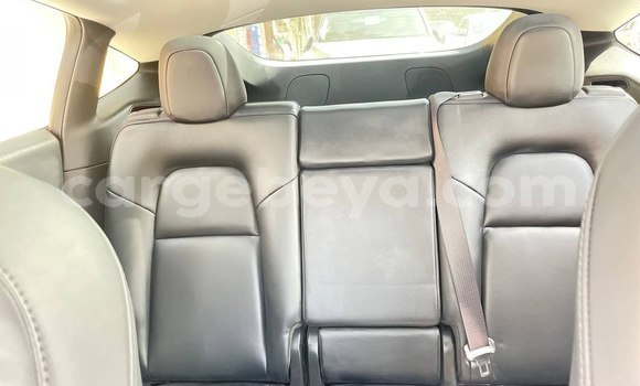 Acheter Occasion Voiture Tesla Model X Blanc à Addis Ababa, Ethiopie Acheter Occasion Voiture Tesla Model X Blanc à Addis Ababa, Ethiopie